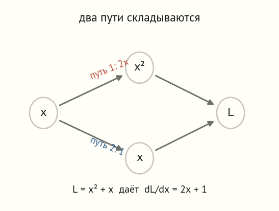 Граф: узел x ветвится на два пути — верхний через возведение в квадрат и нижний прямой, оба сходятся в узел L равно a плюс x; подписано, что производная по x есть сумма 2x плюс 1