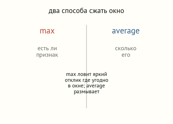 Схема: max отвечает есть ли признак, average отвечает сколько его; max ловит яркий отклик где угодно в окне, average размывает