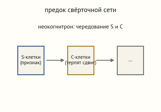 Схема неокогнитрона: чередование блоков S-клеток, выделяющих признак, и C-клеток, терпящих сдвиг, соединённых стрелками