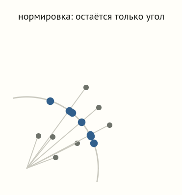 Лучи разной длины из начала координат упираются в единичную окружность; исходные точки серые, их проекции синие